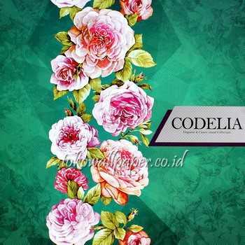 CODELIA 
Wallpaper 
