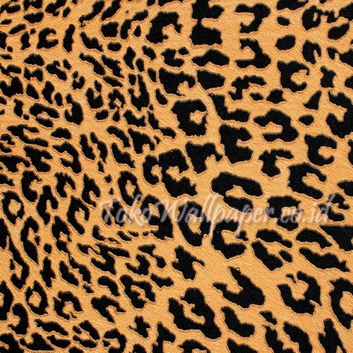 NATURE BEAUTY
53022 Wallpaper