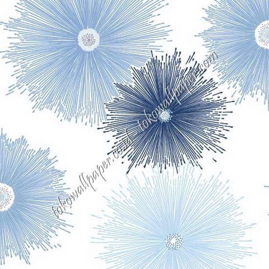 CAPITAL CP883504
Wallpaper