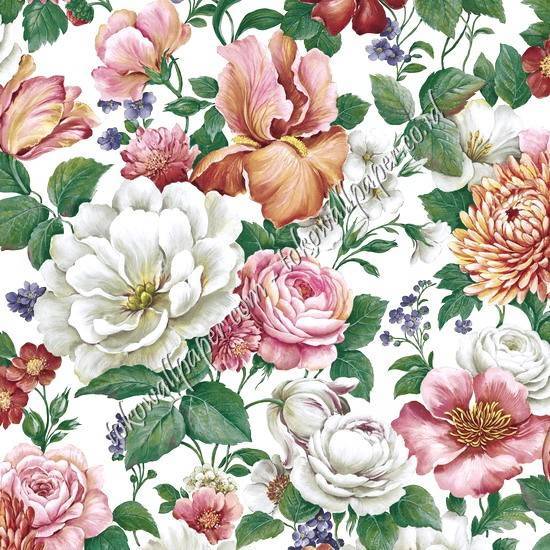 NEW STORY 373
Wallpaper