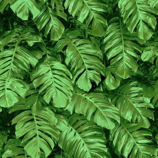 NOTABENE N1-1   
Wallpaper