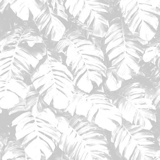 NOTABENE N1-2
Wallpaper