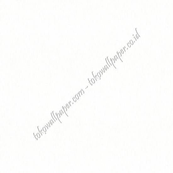 NEW EVANTE E195-1
Wallpaper