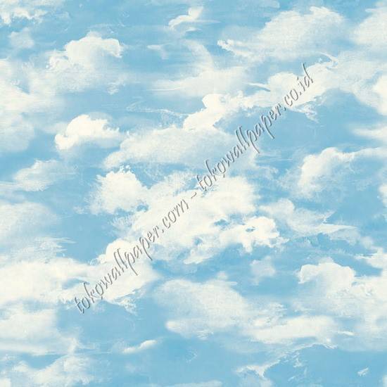 NEW EVANTE E6-1
Wallpaper